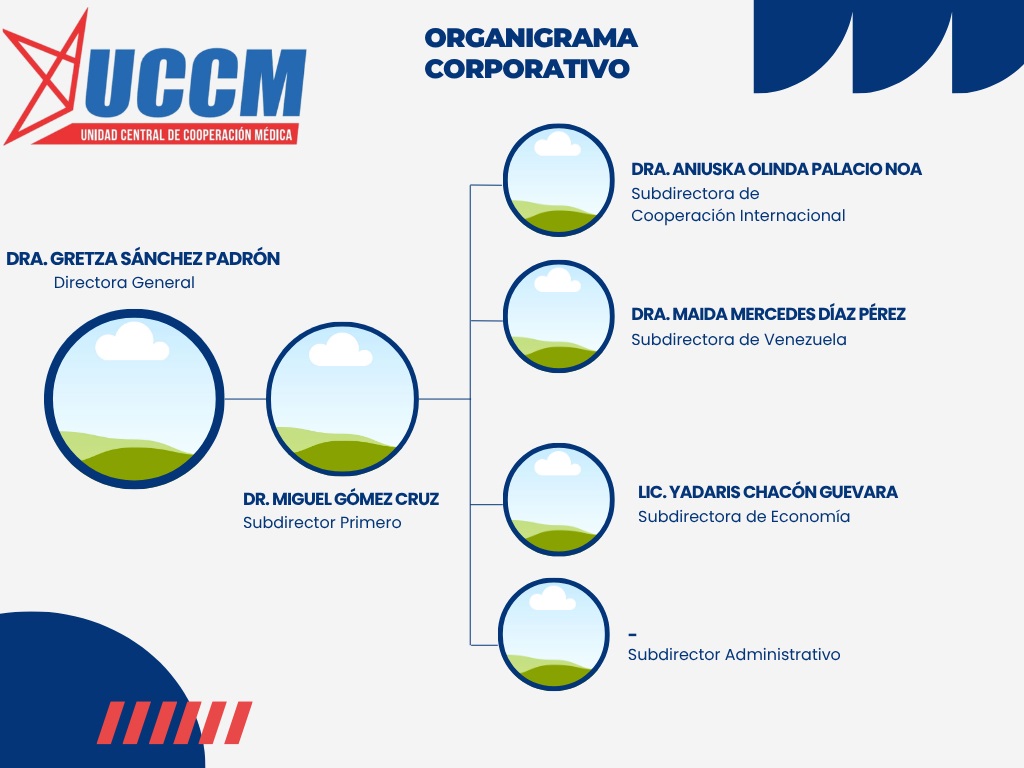 organigrama.jpg